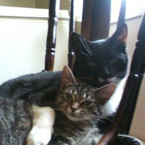 Meet your Posher, Sherry